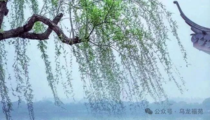 犯小人的徵兆及化解方法