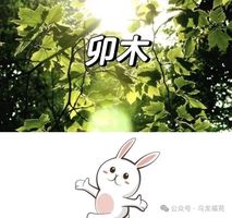 細講地支——卯木篇