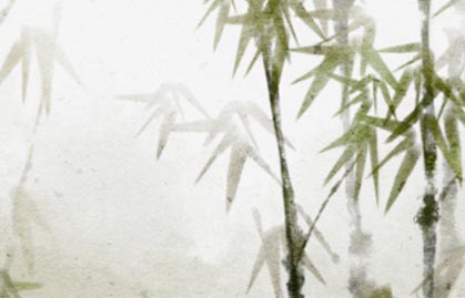 情侶八字測試打分 情侶出生年月日配對