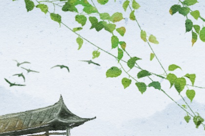 乙丑日柱女命和癸未男命合嗎 先天不足後天來補