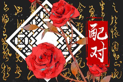 屬兔和什么的最合財 生性豁達胸襟開闊