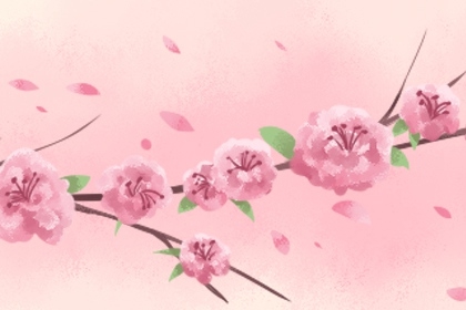 命帶桃花好不好 身邊桃花朵朵開