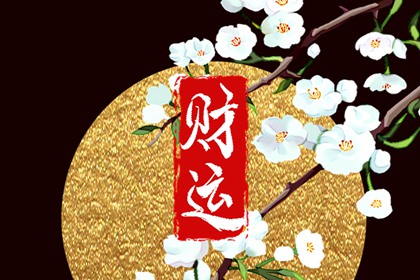 什么命最旺桑拓木 水命最旺木命