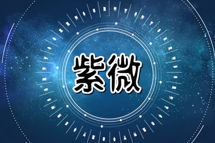 紫薇天相在夫妻宮 夫唱婦隨宜夫妻合作共事