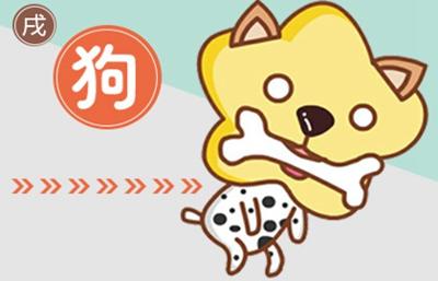 八字配對:屬牛和屬狗的合嗎 可以結婚嗎