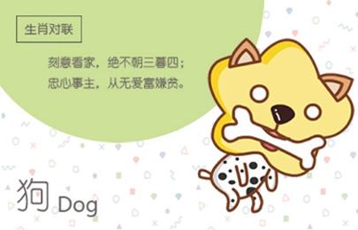 合姻緣:屬兔的女人和屬狗男能配嗎 婚姻好不好