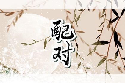 蛇和雞在一起誰旺誰 雞和蛇的屬相合不合
