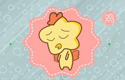 雞和豬的屬相相剋嗎 兩者並不犯衝