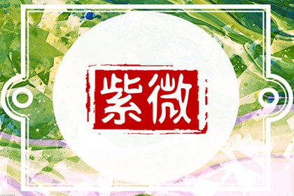 夫妻宮帥紫薇 不偏不倚學識淵博溫良恭儉讓