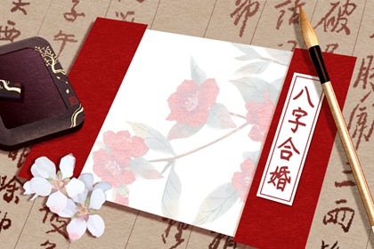 屬豬女的上等婚配屬相 與虎甜蜜是最佳