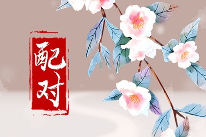 雞和狗的屬相合不合 屬雞和屬狗相配嗎