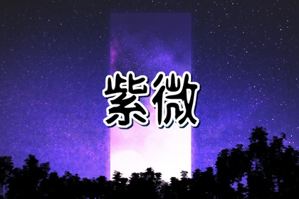 流年廉貞化忌在夫妻宮 桃花運旺盛結婚運大好