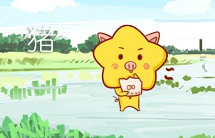 豬和鼠相配婚姻 在一起能幸福嗎