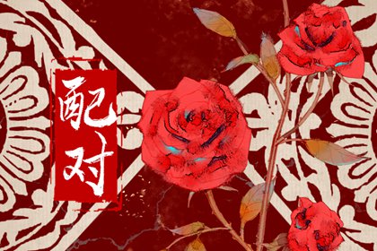 男己土和什么命最合適 建立家庭癸水女