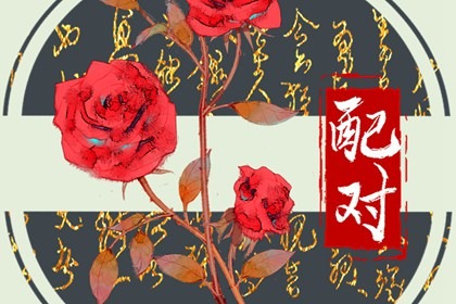 屬虎的人和屬鼠的人合財嗎 鼠虎合作的注意事項