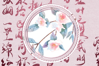 三兩二錢女命姻緣 夫婦和睦一生順利