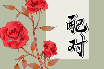 屬鼠和屬兔的合不合 兔與鼠屬相合不合