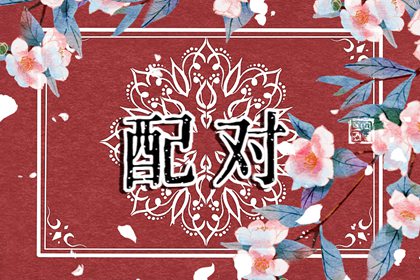 屬雞上上等婚配 情投意合的配對屬相