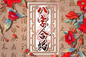 己土女和丙火男配嗎 話題投機變得更好