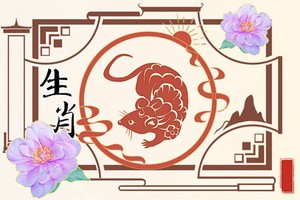 屬鼠女最佳婚配屬相 金龍金牛金猴成就一生繁華