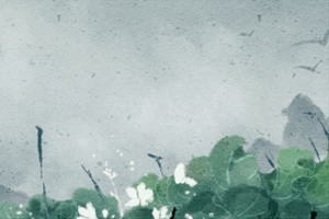 命裡有土可以和水搭配嗎 五行關係中土克水