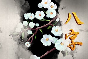 八字過硬的女人找什么樣的丈夫 有刑剋之相難以尋真情
