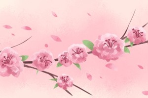 命帶桃花好不好 身邊桃花朵朵開