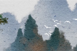 庚金男的真愛是丁火還是乙木 與乙木相配指度高