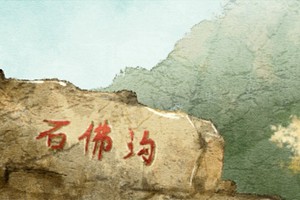 楊柳木命和什么命相配 大海水命最相配