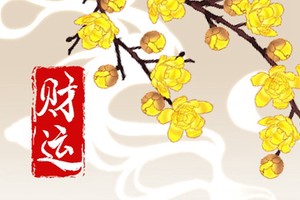 命犯桃花的女人八字 官殺混雜桃花多