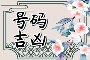 女路旁土和男大林木命 生活多矛盾感情難長久