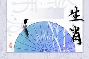 適婚年齡的屬虎女 最佳配對屬相有你嗎