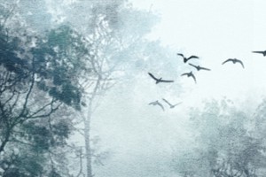 八字命帶桃花的女人特徵 時柱帶桃花並非正緣