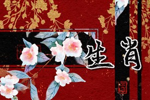 男女最佳婚配生肖 良配帶來好運