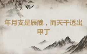 年月支是辰醜，而天干透出甲丁