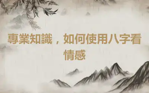 專業知識，如何使用八字看情感