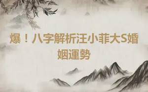 爆！八字解析汪小菲大S婚姻運勢