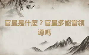 官星是什麼？官星多能當領導嗎