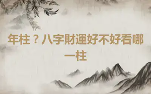 年柱？八字財運好不好看哪一柱