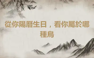 從你陽曆生日，看你屬於哪種鳥