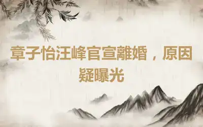 章子怡汪峰官宣離婚，原因疑曝光