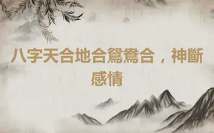 八字天合地合鴛鴦合，神斷感情