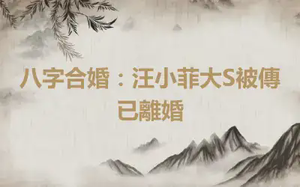 八字合婚：汪小菲大S被傳已離婚