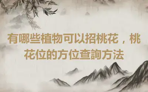 有哪些植物可以招桃花，桃花位的方位查詢方法