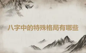 八字中的特殊格局有哪些
