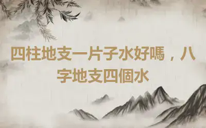 四柱地支一片子水好嗎，八字地支四個水