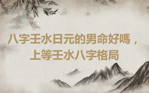 八字壬水日元的男命好嗎，上等壬水八字格局