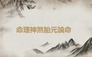 ​命理神煞胎元論命