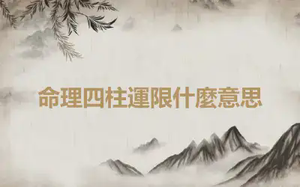 命理四柱運限什麼意思