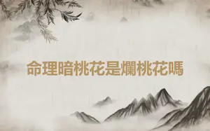 命理暗桃花是爛桃花嗎
